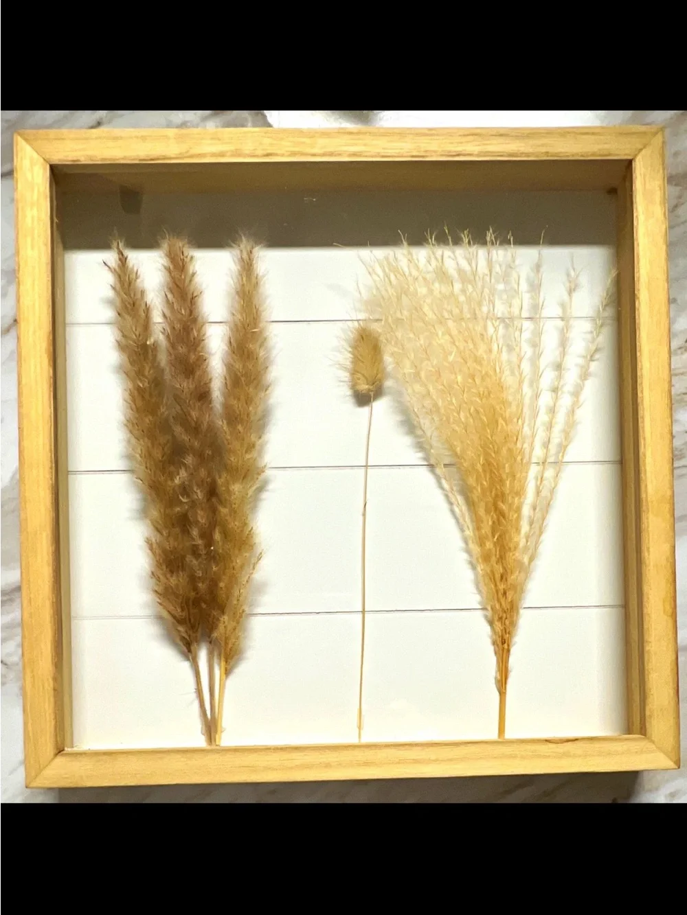 Natural Dried Pampas Grass Shadow Box Wall Art - Tan
